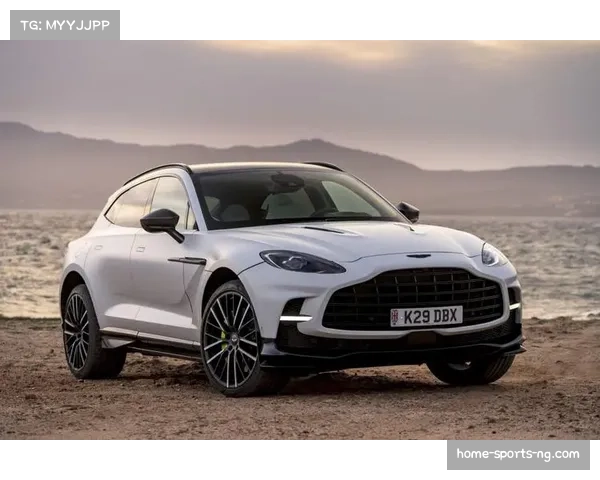 斯托尔在阿斯顿马丁车队获得父亲支持 持续寻求突破